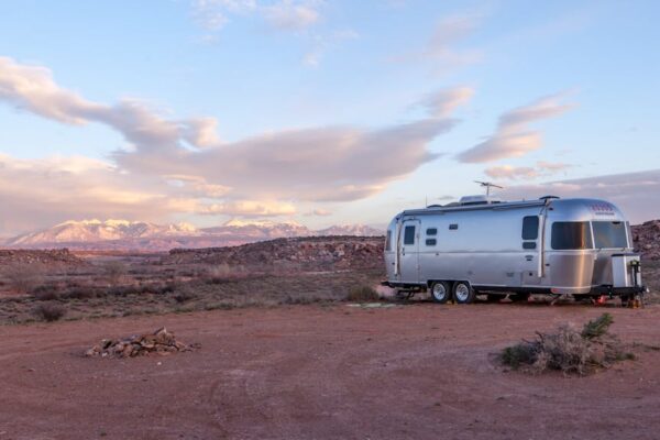 Pet Friendly Features in RVs and Vans