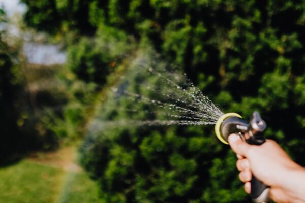 Outdoor Maintenance Checklist for Summer