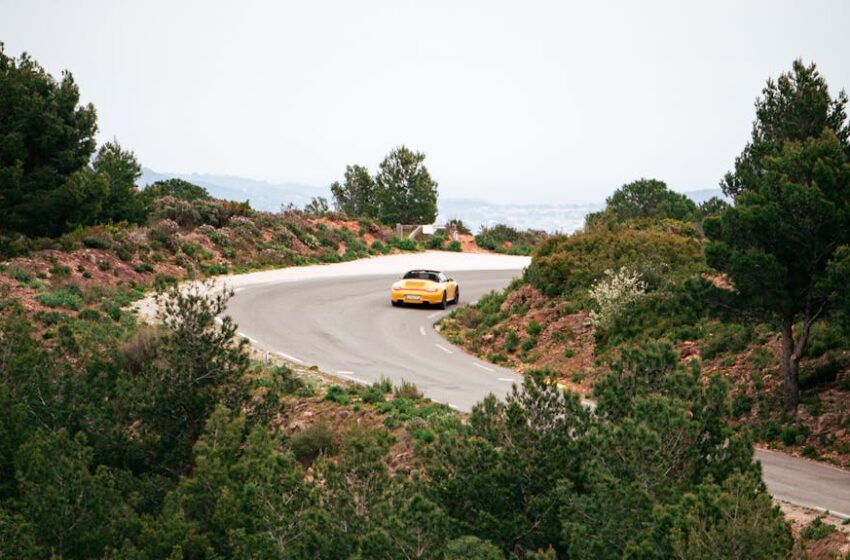 Specialized Land Tours for Cruise Passengers