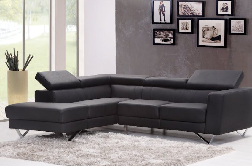  How to Choose the Right Sofa